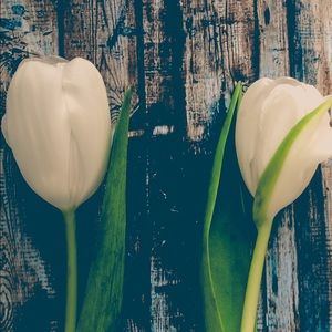 Meet your Posher, Ivette